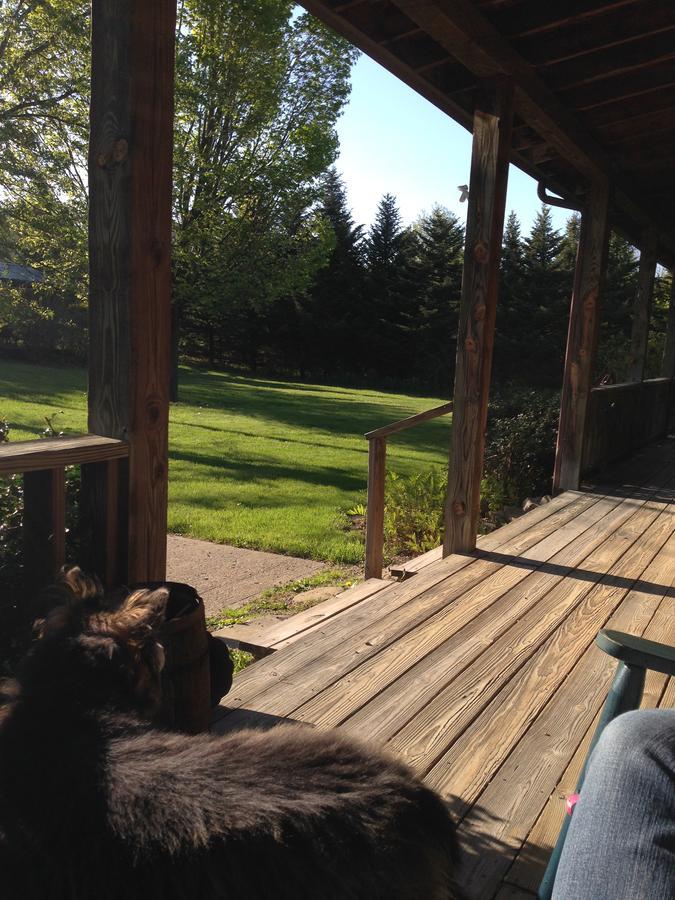 The South Glenora Tree Farm Bed and Breakfast Dundee Eksteriør billede