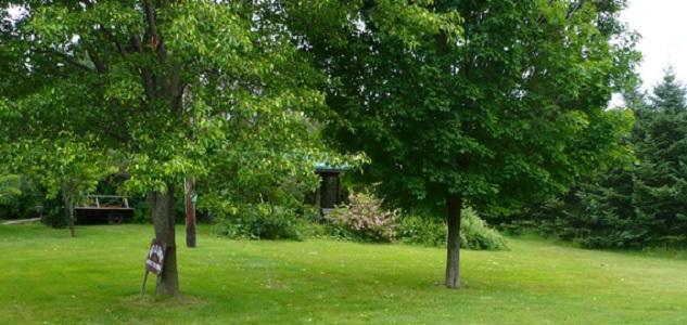 The South Glenora Tree Farm Bed and Breakfast Dundee Eksteriør billede